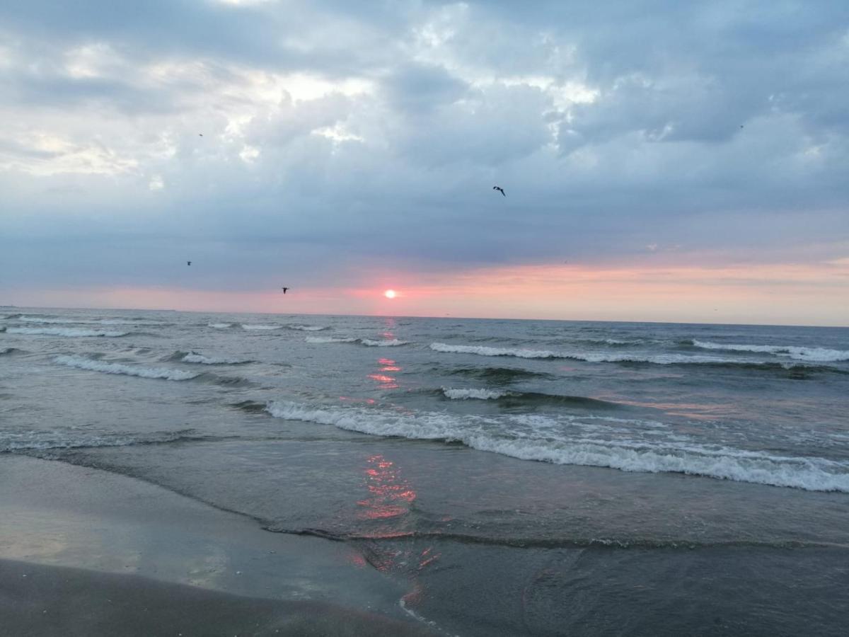 Apartament Summerland Mamaia Εξωτερικό φωτογραφία